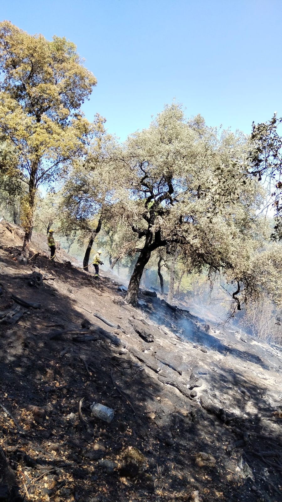 Incendi d'un vehicle de transport urb&agrave; al cam&iacute; entre Can Camps i Roca Rossa
