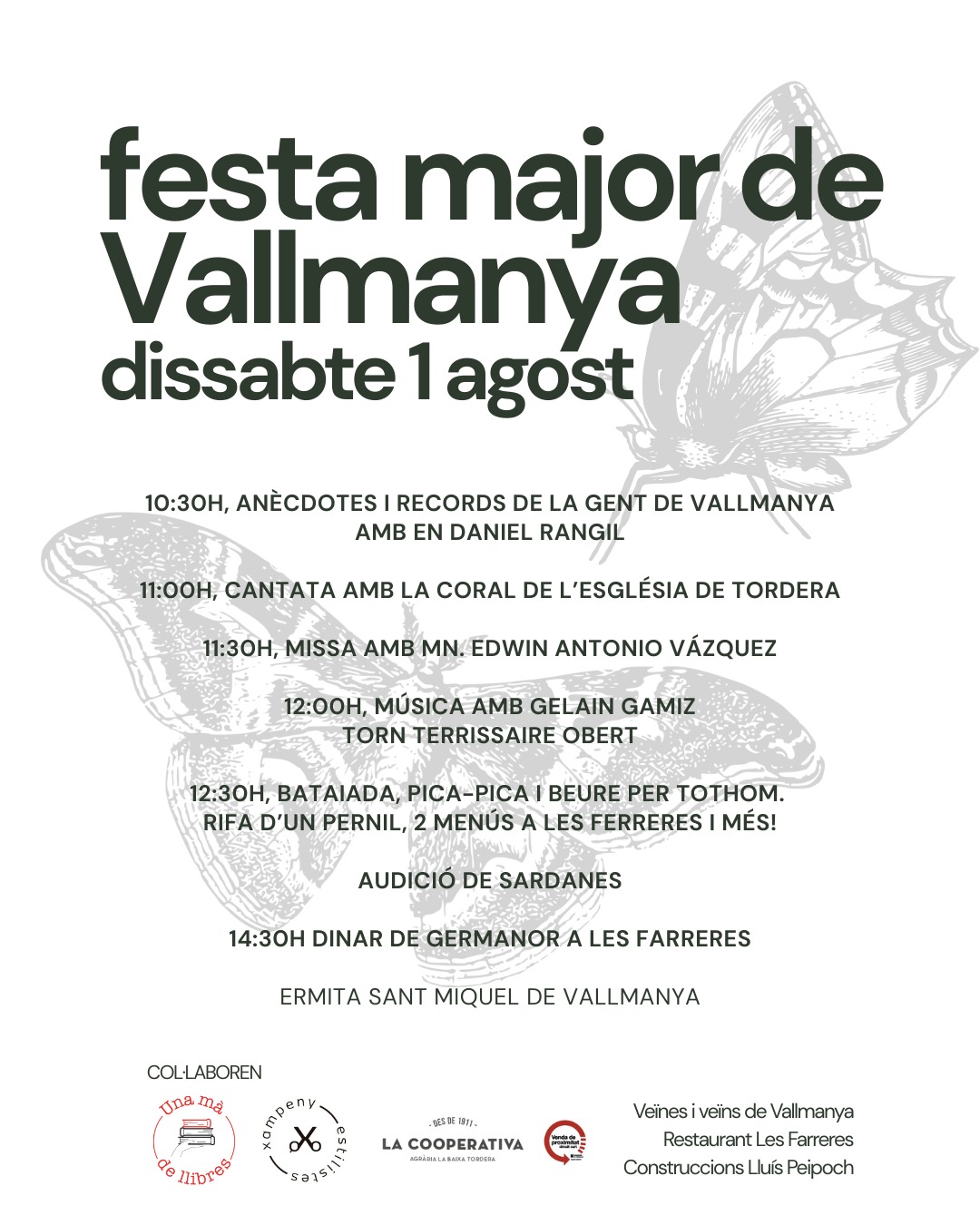 FESTA de Vallmanya