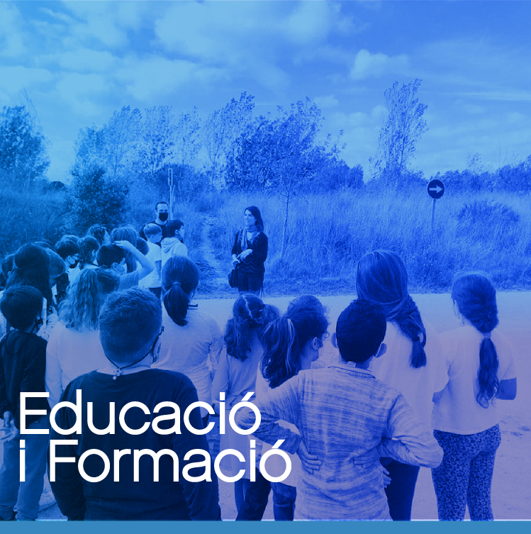 Educació i formació