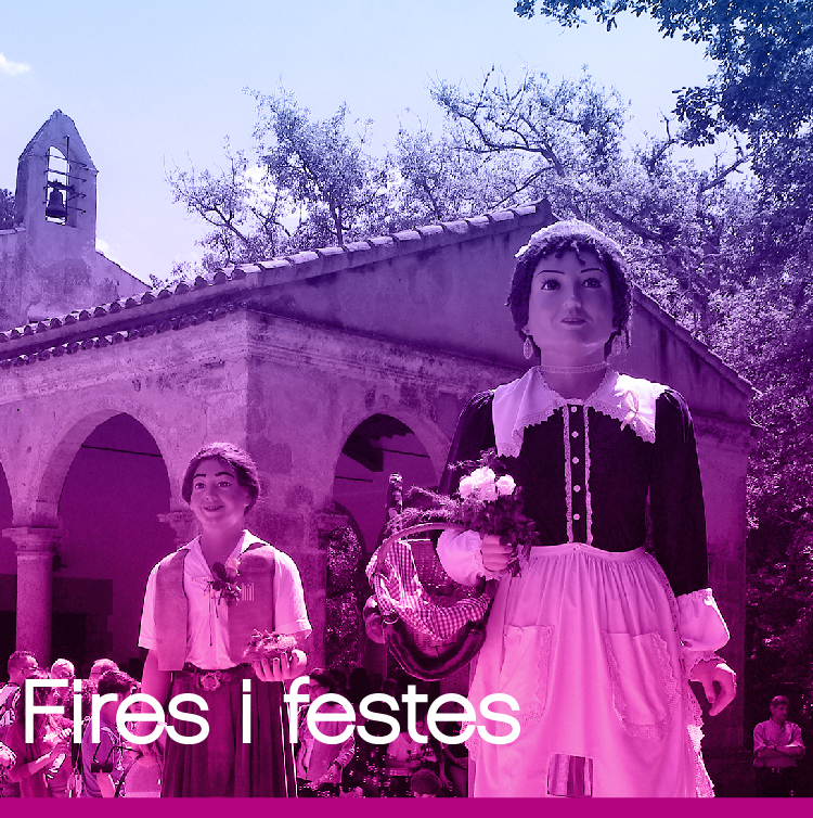 Fires i festes