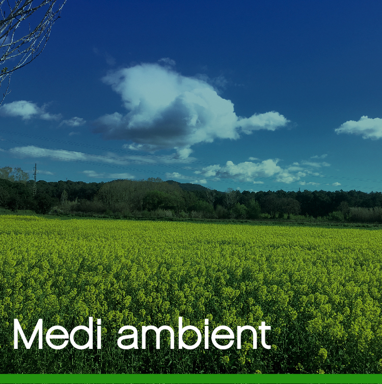 Medi Ambient