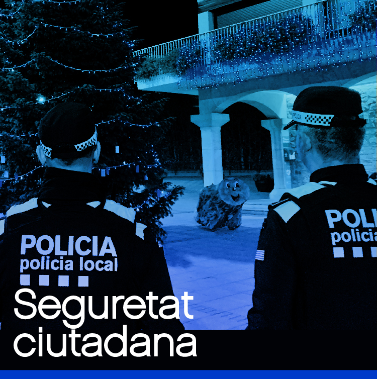 Seguretat Ciutadana