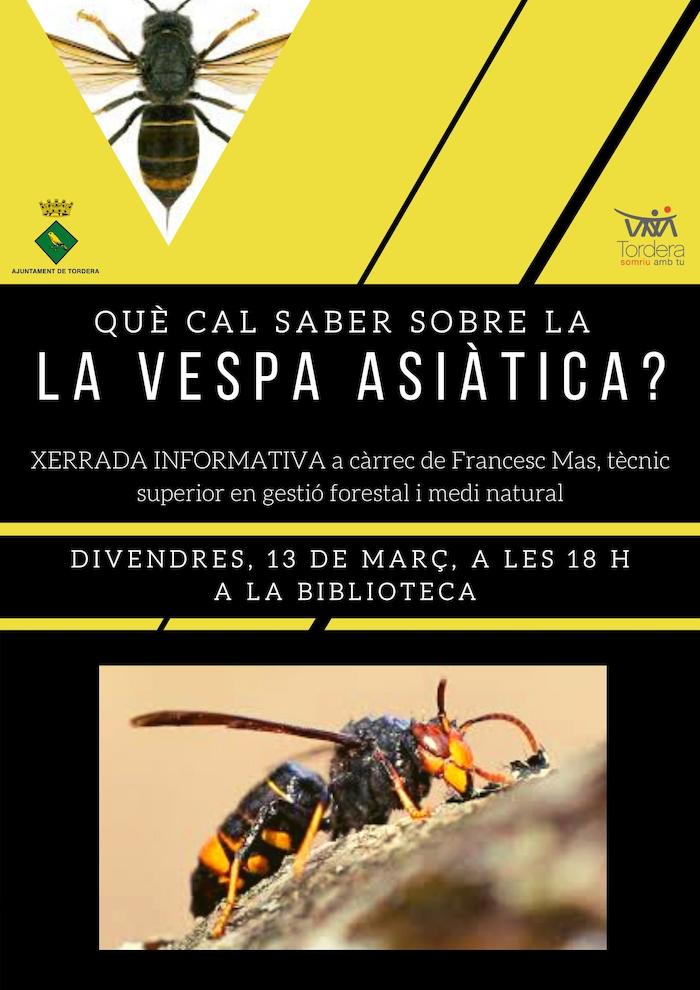Què cal saber sobre la vespa asiàtica? Xerrada informativa a la biblioteca