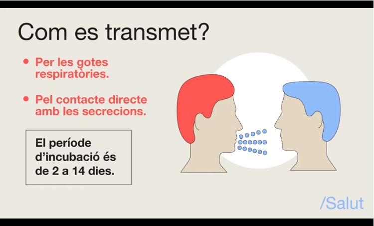 Què has de saber sobre el Coronavirus SARS-CoV-2?