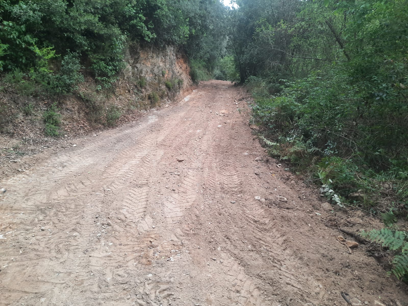 L'Ajuntament de Tordera i l'ADF Tordera realitzen millores a la xarxa de camins dins del Pla Municipal de Prevenció d'Incendis Forestals