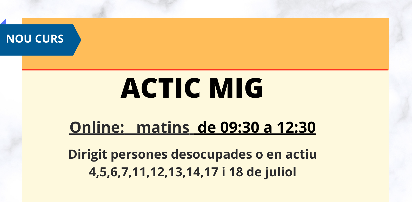 El Servei d'Inserció i Ocupació laboral organitza una nova edició de curs telemàtic per aconseguir l'ACTIC mig durant els matins de juliol