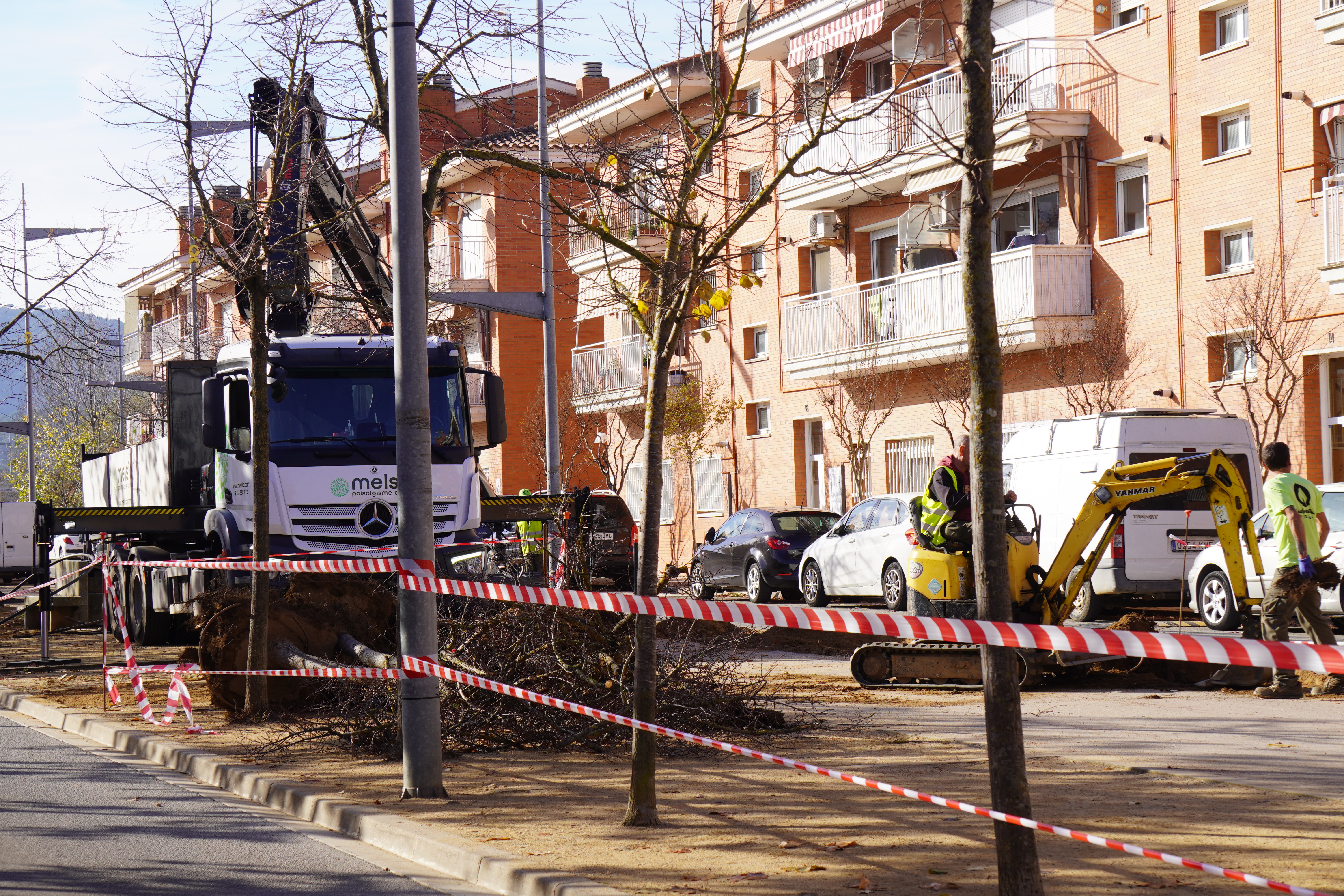 L'Avinguda dels Països Catalans es convertirà en una nova zona d'ombres per combatre el canvi climàtic