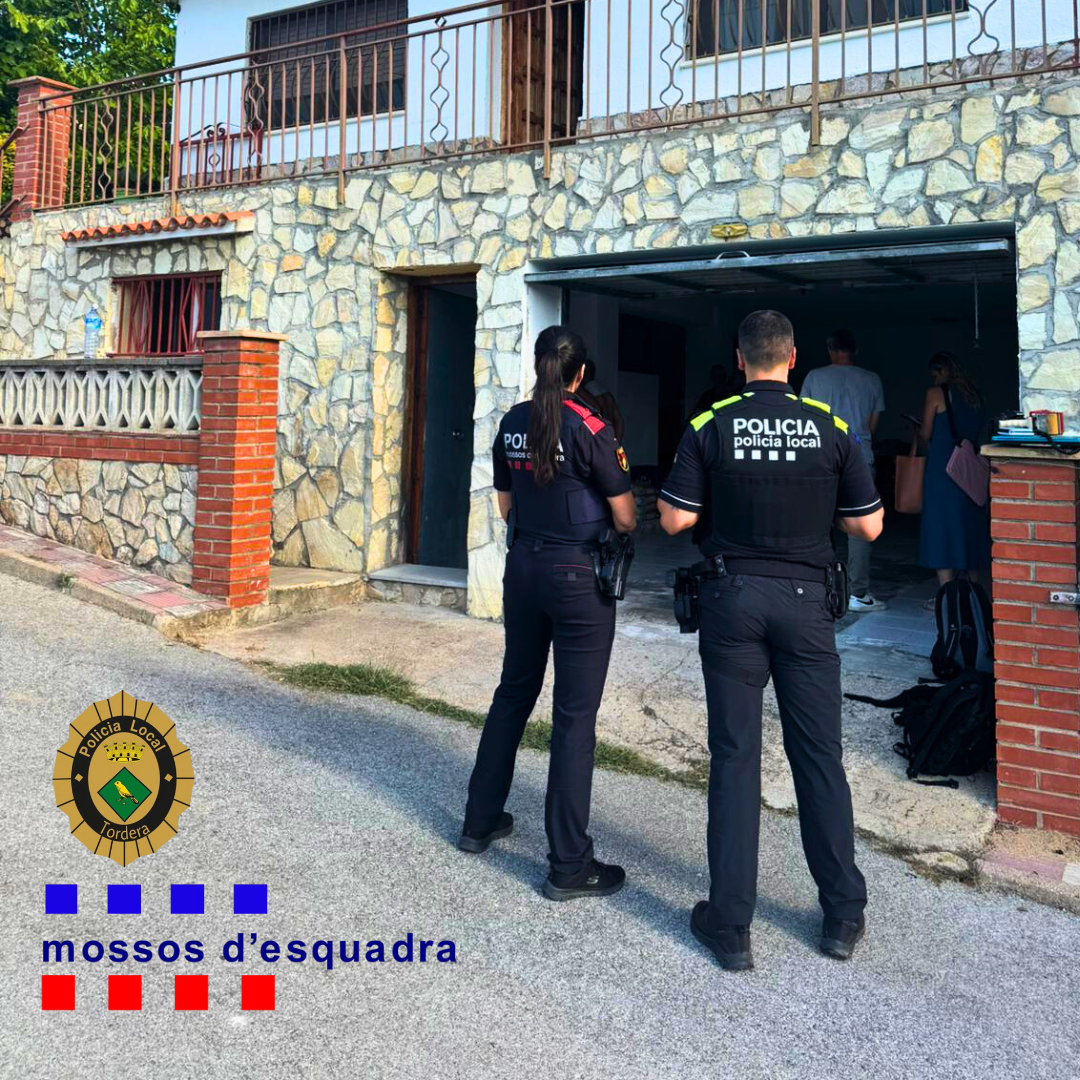 La Policia Local de Tordera i els Mossos d'Esquadra desmantellen una plantació de marihuana amb una connexió fraudulenta a la xarxa elèctrica que generava un alt risc d'incendi 