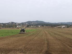 Dijous es presenta l'Espai Agrari de la Baixa Tordera amb l'objectiu de preservar el sòl agrari i aconseguir un sistema alimentari més saludable i sostenible