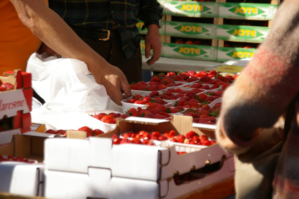 Mercat de Tordera